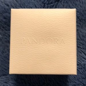 Pandora Charm